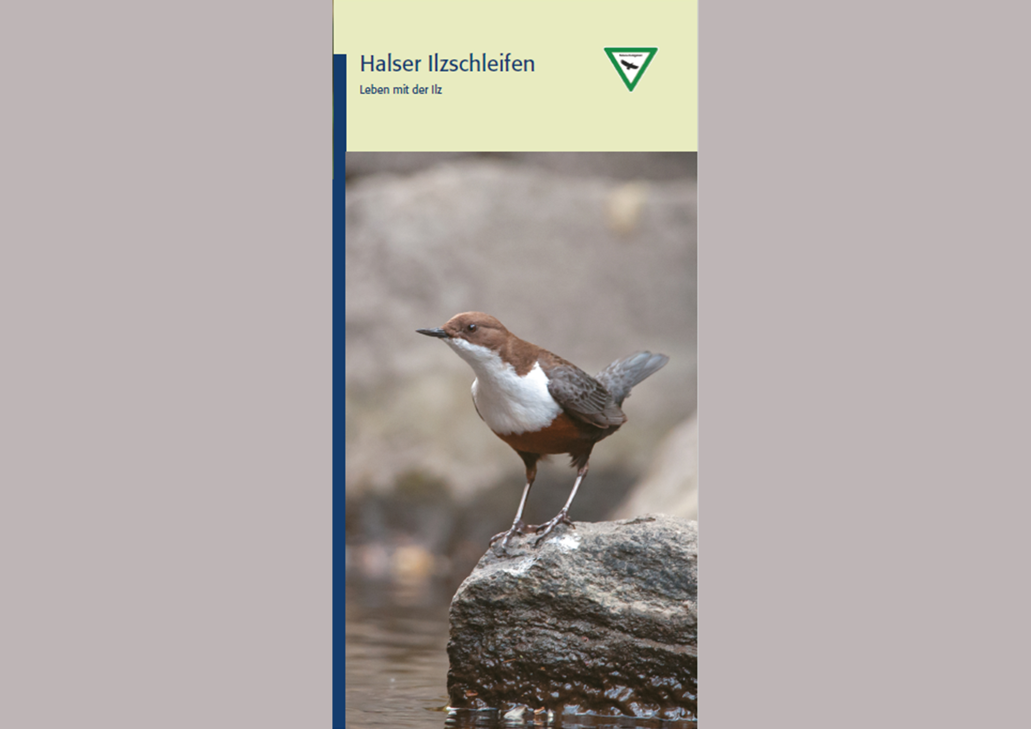 Brochure: The Ilz river bend at Hals